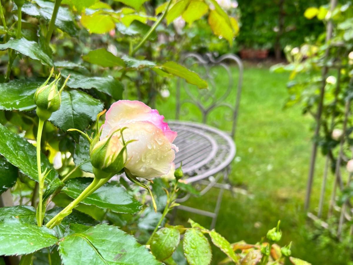 La Finestra Sul Giardino - Bed & Breakfast