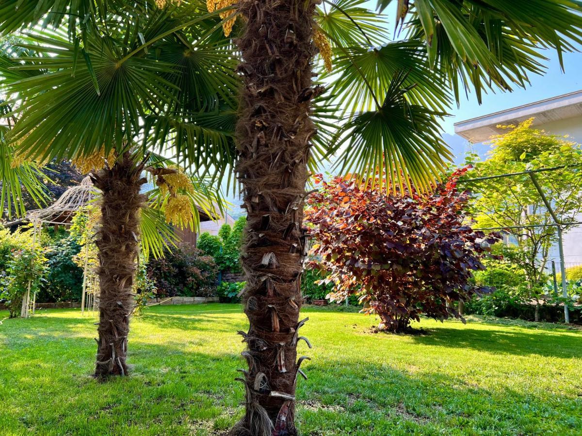 La Finestra Sul Giardino - Bed & Breakfast